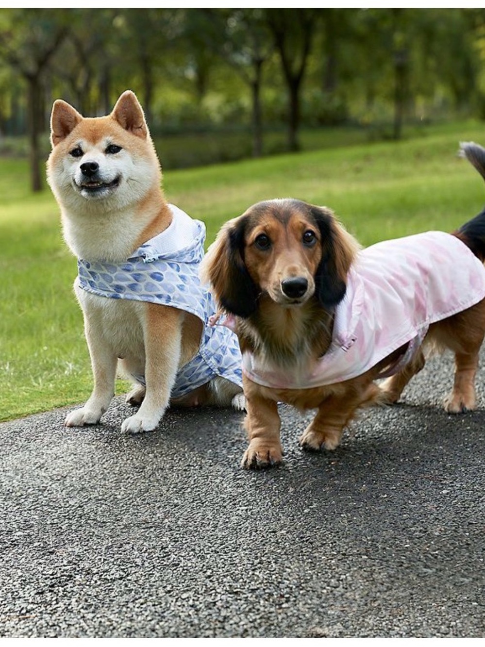 Koolaburra by UGG York Pet Raincoat, size XL, NWT